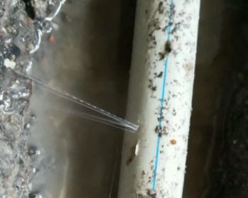 秀山卫生间测漏水多少钱