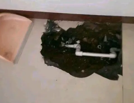 秀山卫生间测漏水多少钱